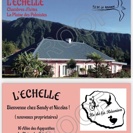 L'Echelle Bed & Breakfast La Plaine-des-Palmistes Dış mekan fotoğraf
